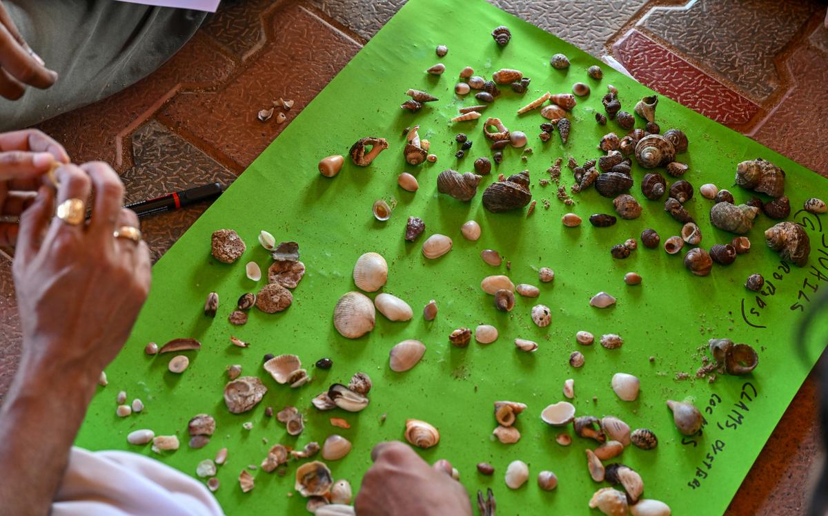 Participants learning about different types of sea shells collected during the Be A Shell Detective walk, an initiative of WWF India in association with ECCT at Rushikonda beach in Visakhapatnam. The sea shells were later returned to the coast by the participants. 