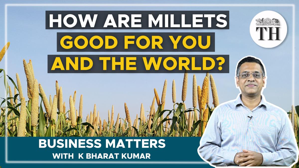 Watch | Business Matters | Why did UN declare 2023 as International Year of Millets?