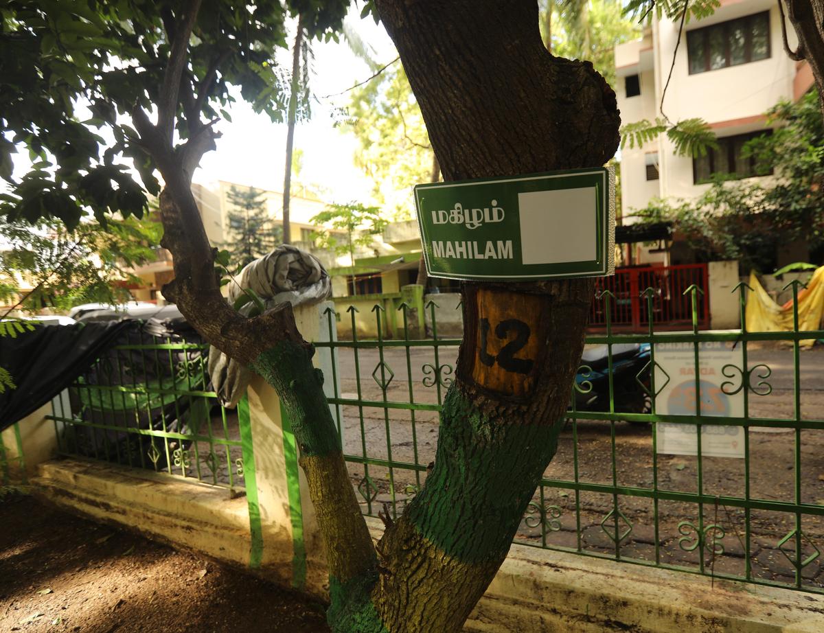 Indira Nagar residents are in the process of creating a tree map for a famous park in their neighbourhood. As part of the exercise, they are seeking to have a nameboard for each tree. The image was taken on November 21, 2025. 