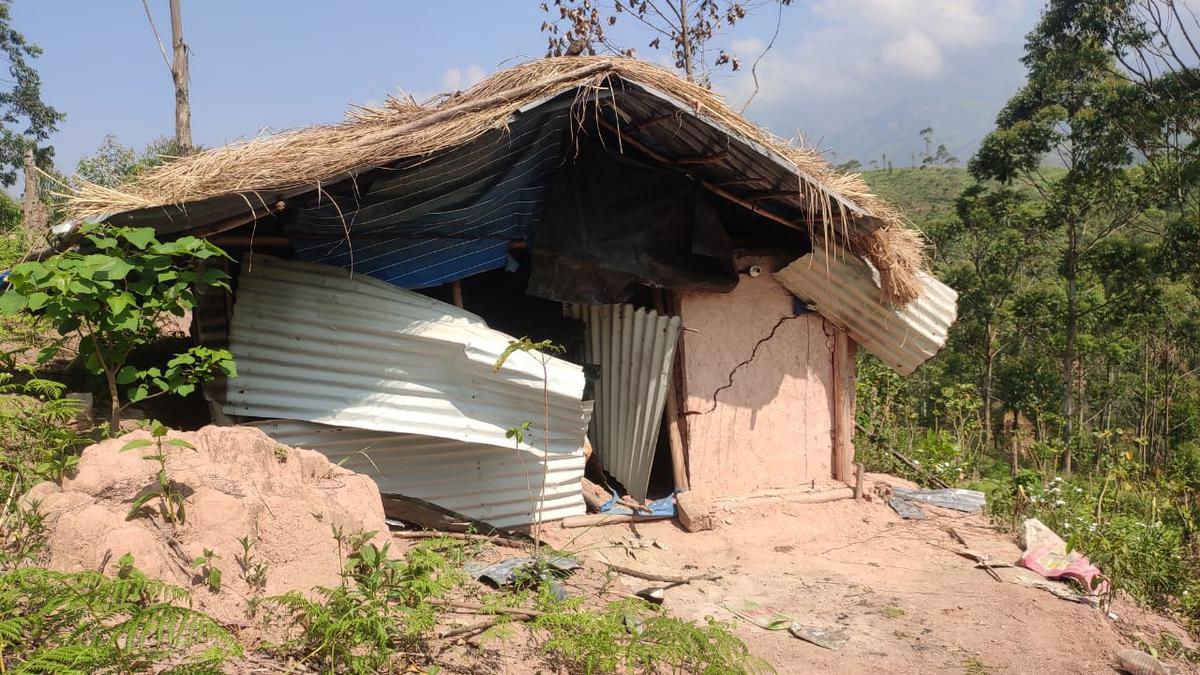 Arikompan-led elephant herd attacks hut at 301 Colony