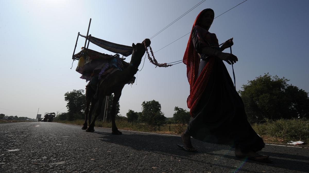 A blurred mapping of internal female migration
Premium