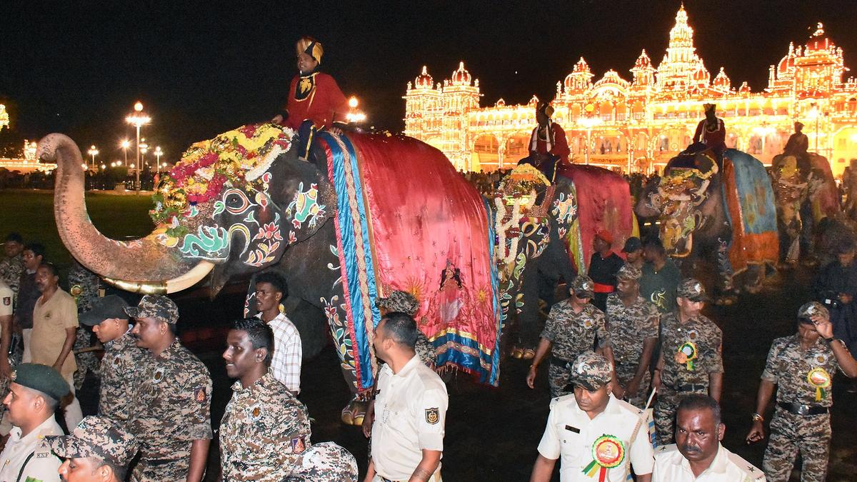 Dasara elephants march into Mysuru palace in twilight spectacle - The Hindu