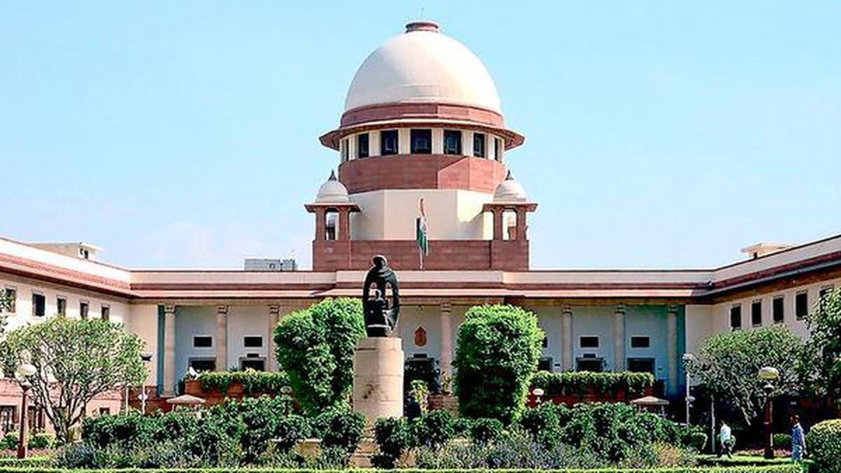 Stray dogs case: SC refuses to entertain plea over Punjab CM's statement