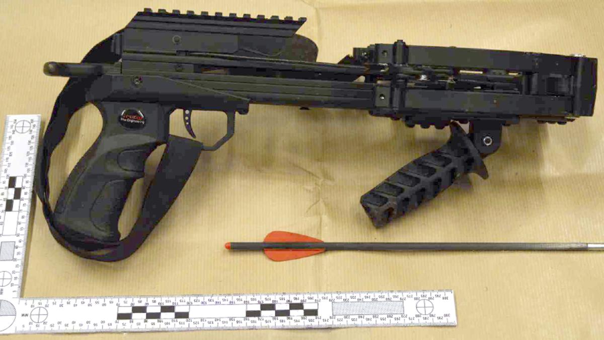 British Sikh intruder who wanted to “kill” late queen admits treason