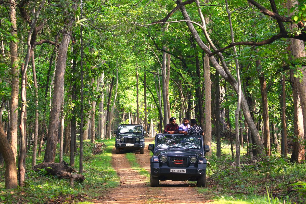 Jeep Safari inside 