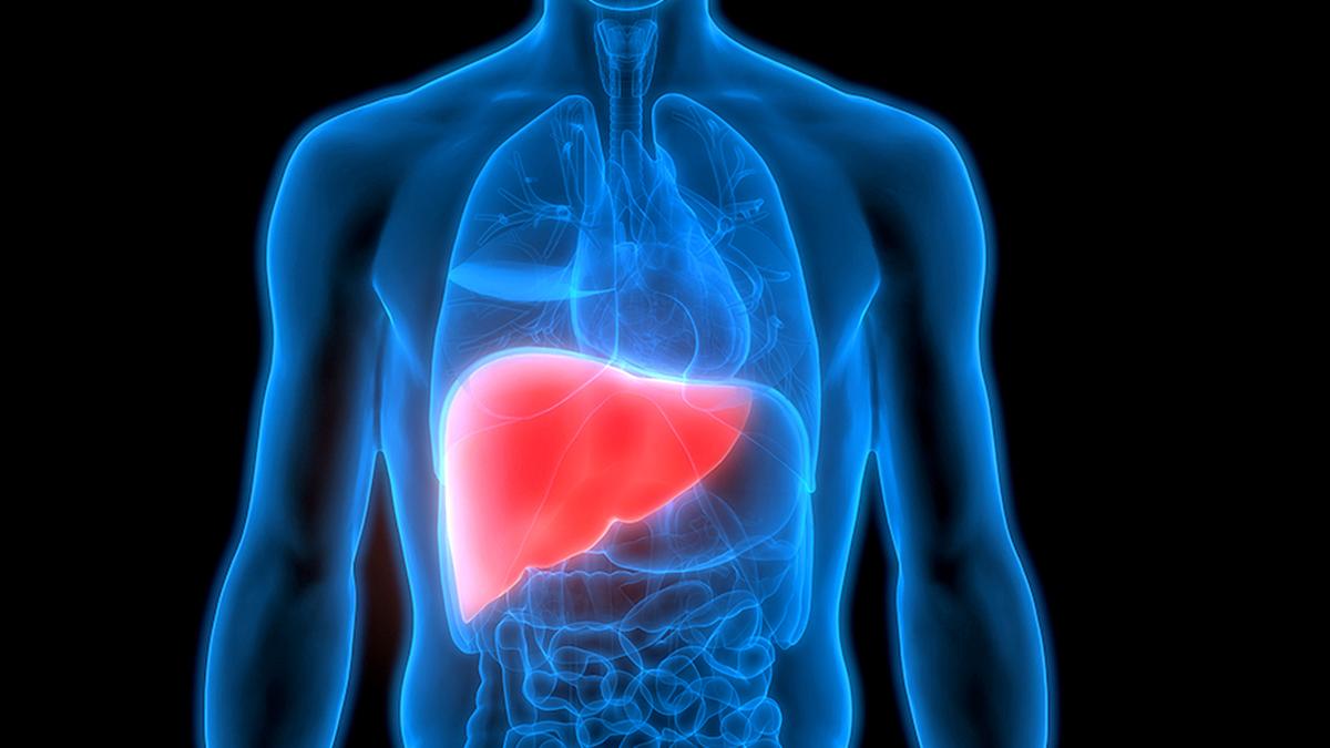 Health Ministry releases revised operational guidelines and training manual of Non-Alcoholic Fatty Liver Disease