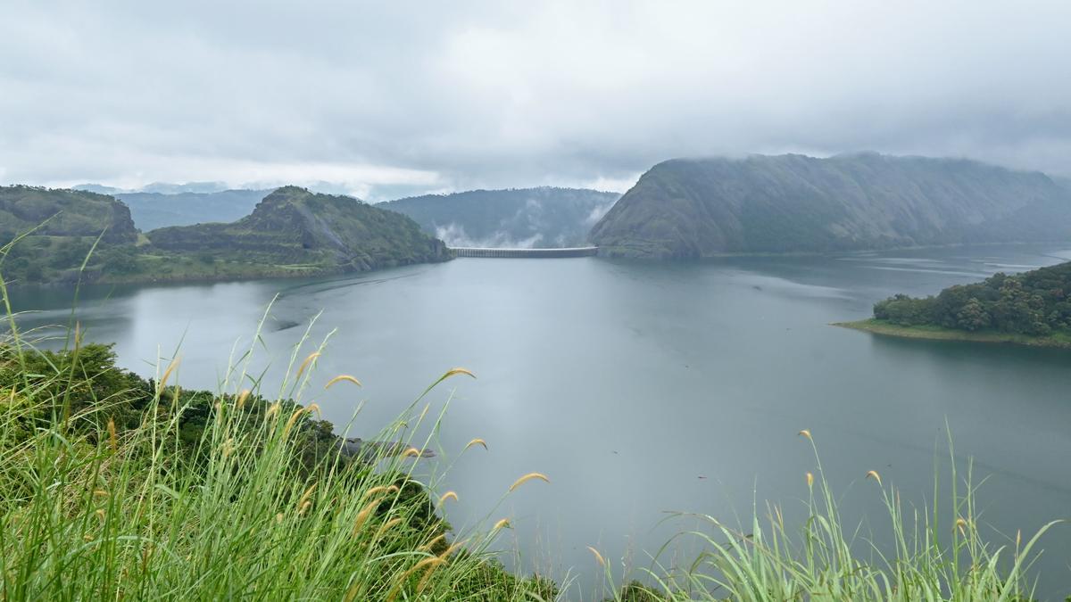 Heavy rain lashes Idukki