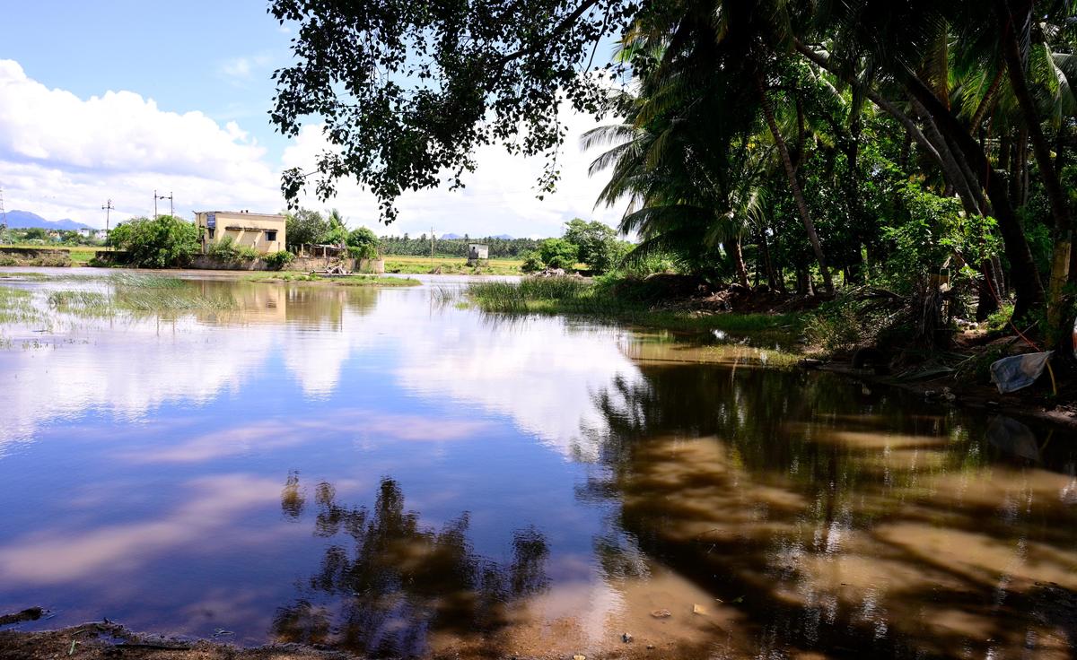 A  joint drinking water pumping station at Uppukottai in Theni district is cut off from the mainland by the swollen Mullaperiyar river.