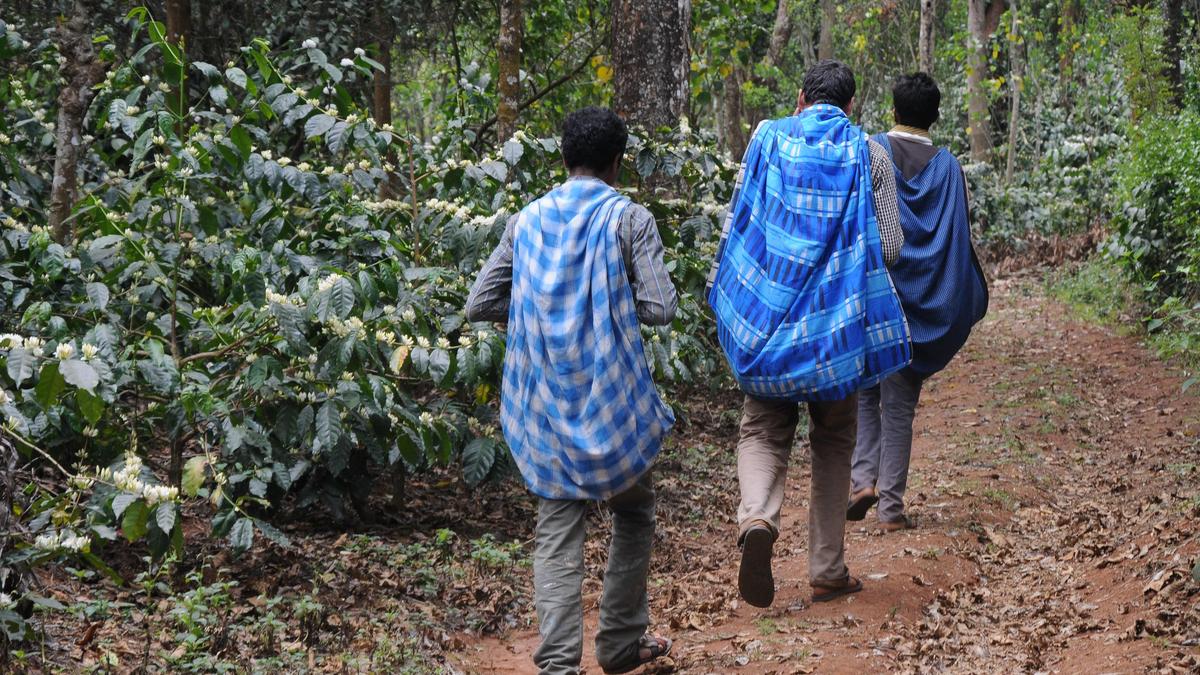 Theft of coffee and pepper: Kodagu police issue advisory to traders