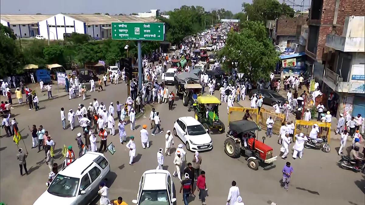 Farmers end stir in Haryana over sunflower MSP