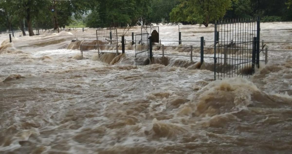 Ban on tourists, coracle operations in Hogenakkal lifted after a month