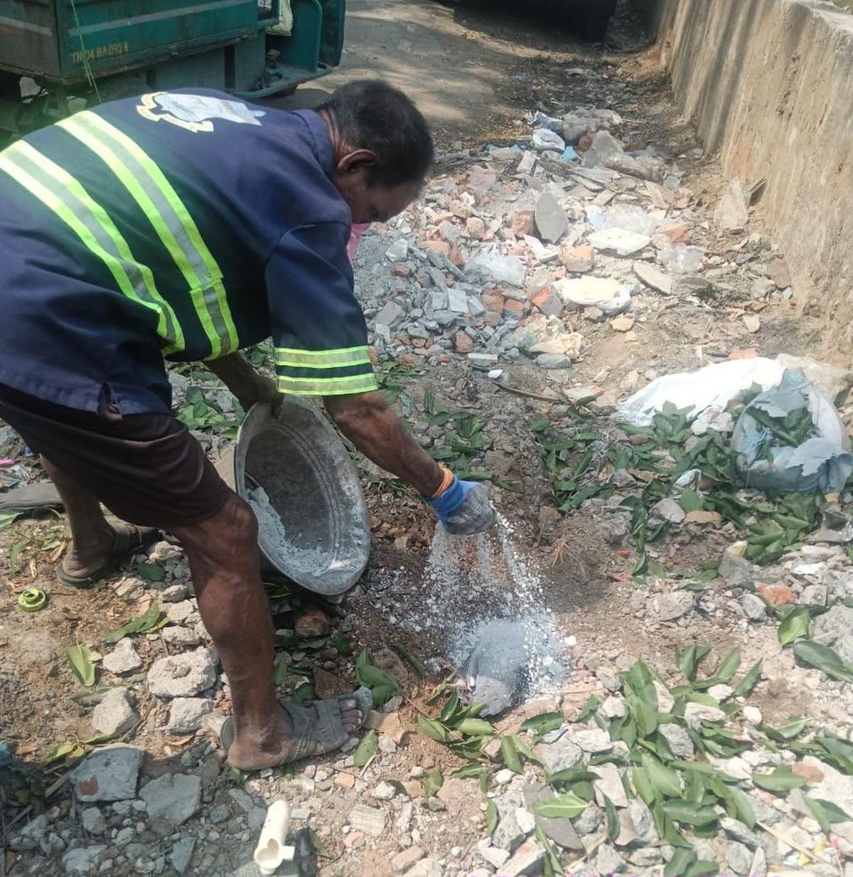 A Chennai Corporation employee disposes of a dead crow in Anna Nagar on February 6, 2026, after a resident of Highway 20 reported the carcass. A Chennai Corporation employee disposes of a dead crow in Anna Nagar on February 6, 2026, after a resident of Highway 20 reported the carcass.