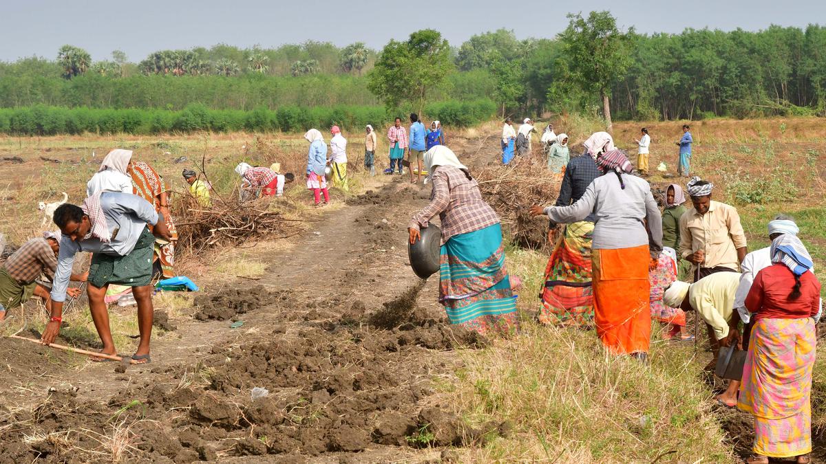 Days of employment under MGNREGS at a five-year low