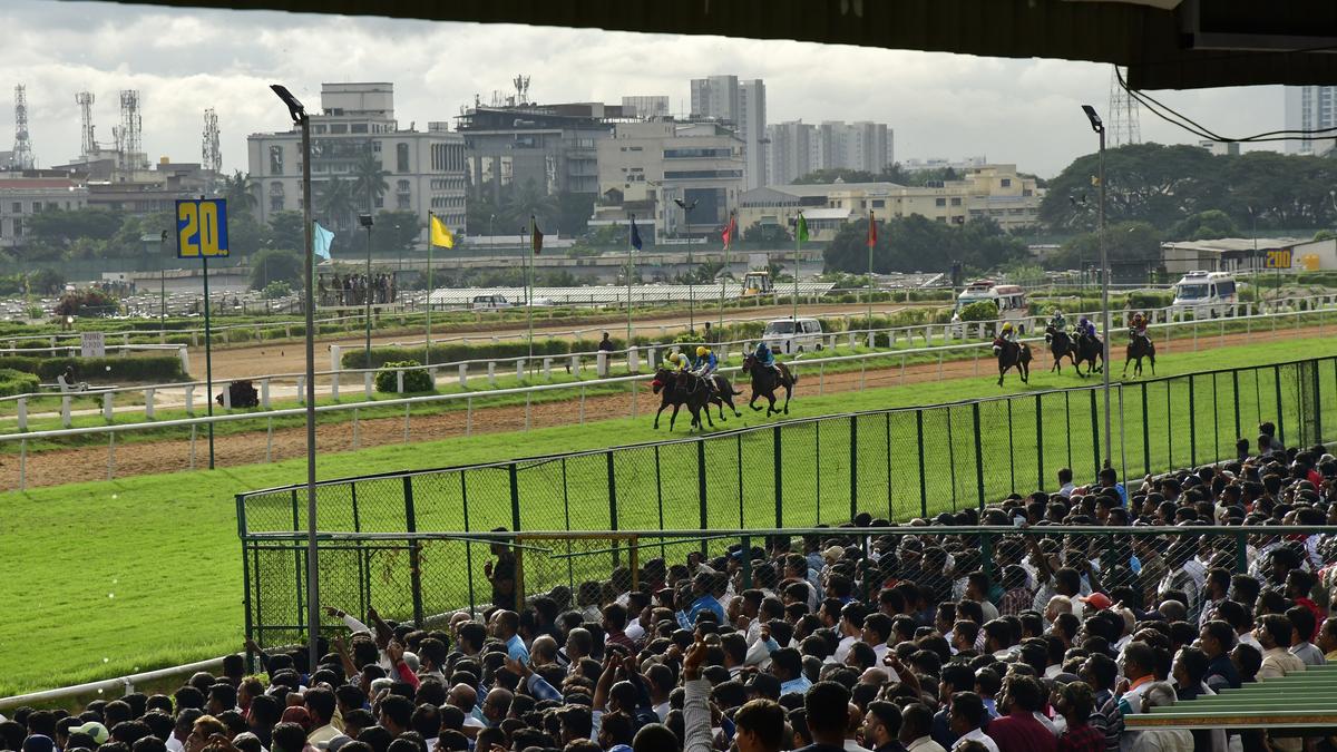 Karnataka High Court permits Bangalore Turf Club to conduct horse races ...