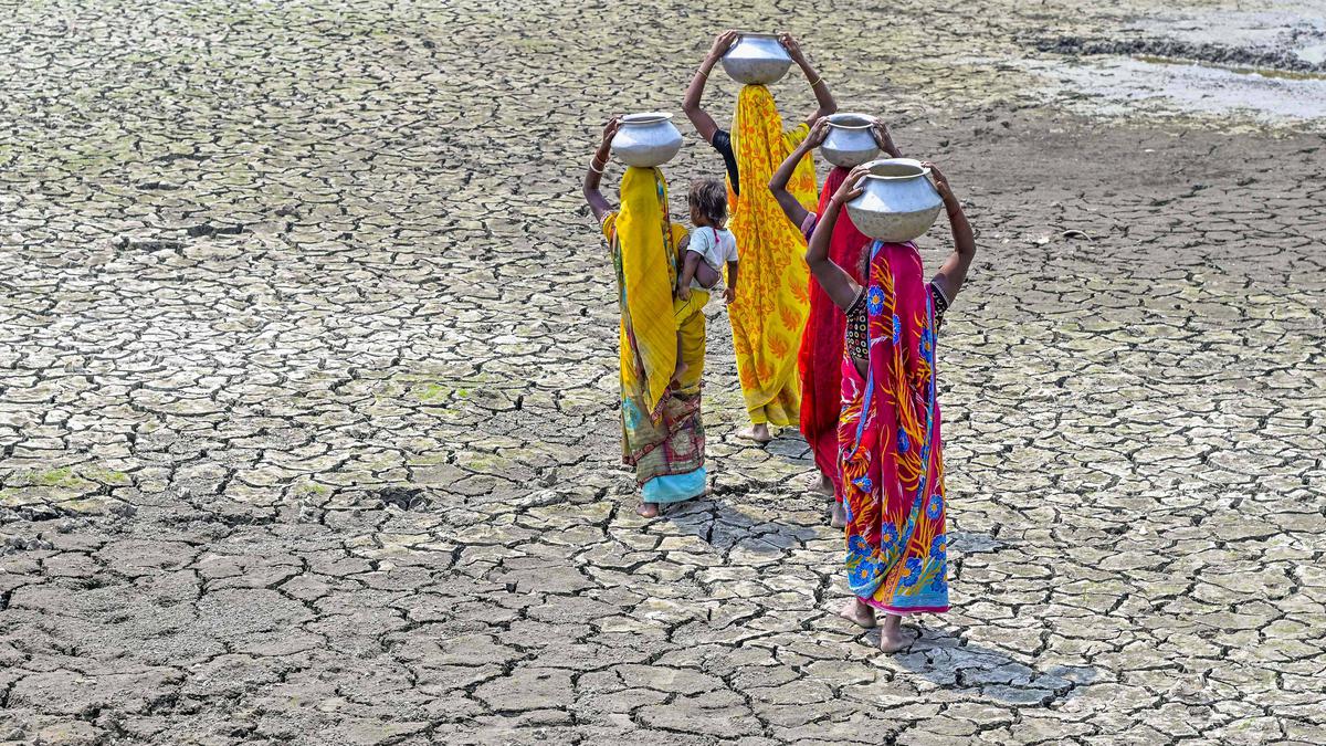 Heatwave to persist in Bengal, Bihar; relief likely in northwestern plains soon