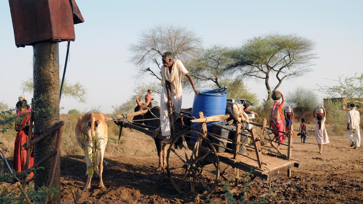 557 farmers ended lives in six months this year in Maharashtra's Amravati: Govt report