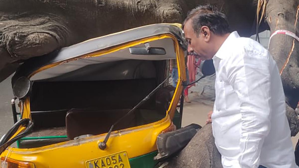 Bengaluru: Branch of Gulmohar tree falls on autorickshaw, kills driver