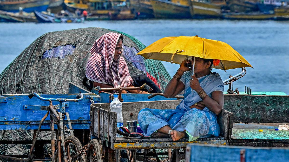 2,059 boats to be anchored along Visakhapatnam coast during the 61-day fishing ban from April 15