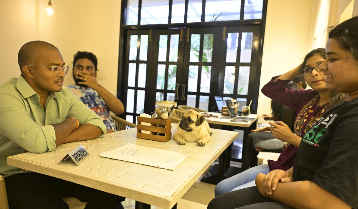 Gabbar takes centre stage as diners settle down at Pet Cafe Hyderabad in Banjara hills 