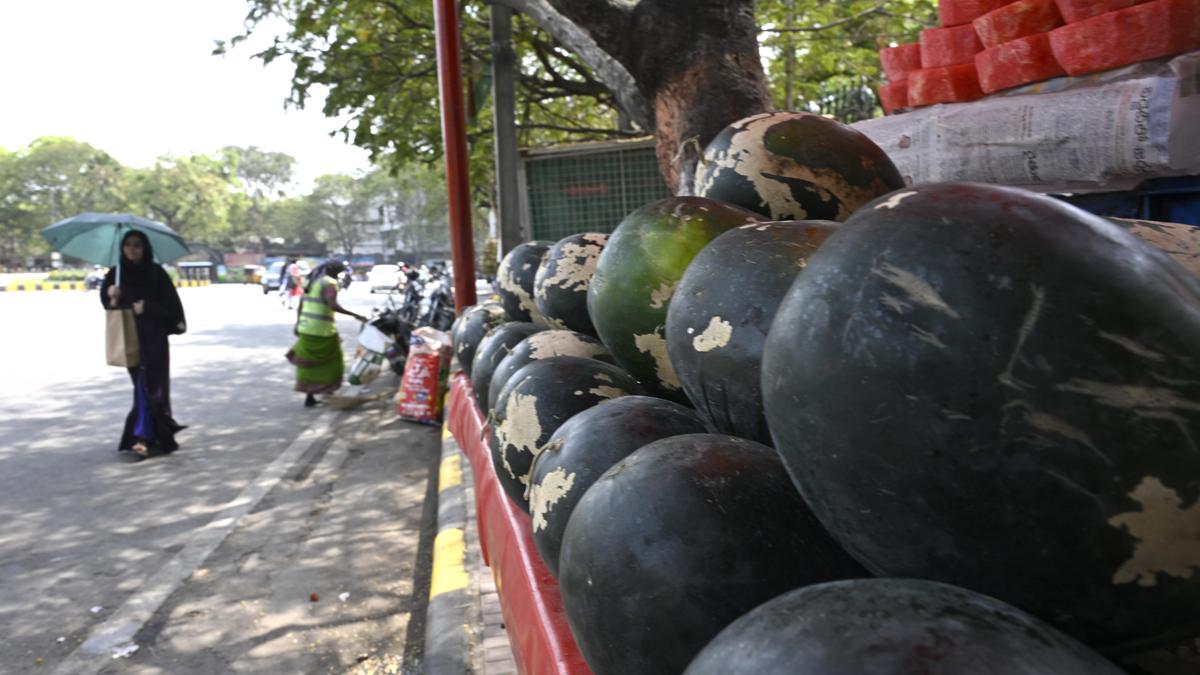 Maximum temperatures in five Telangana districts over 44℃ on April 19; highest of 44.5℃ in Adilabad