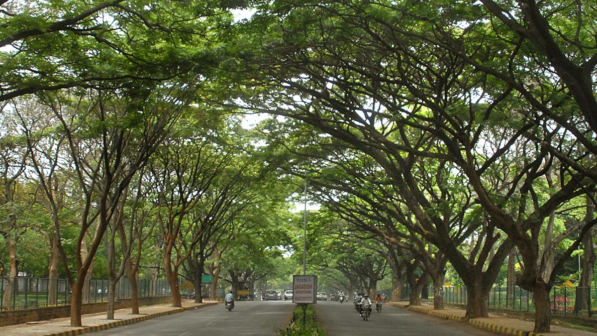 Reminiscences of an old Bangalore boy