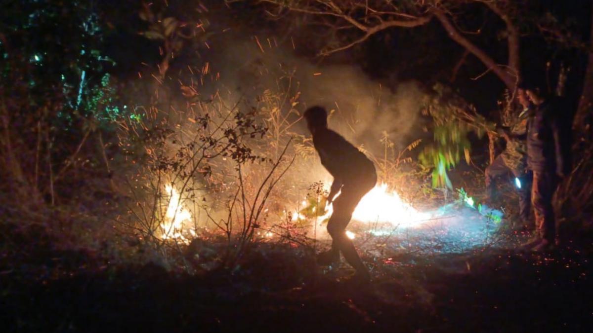 AI-powered surveillance system helps avert forest fire in Hosur division