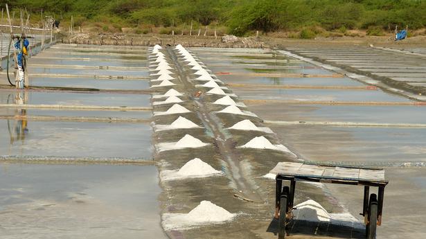 Salt production likely to come down in Vedaranyam