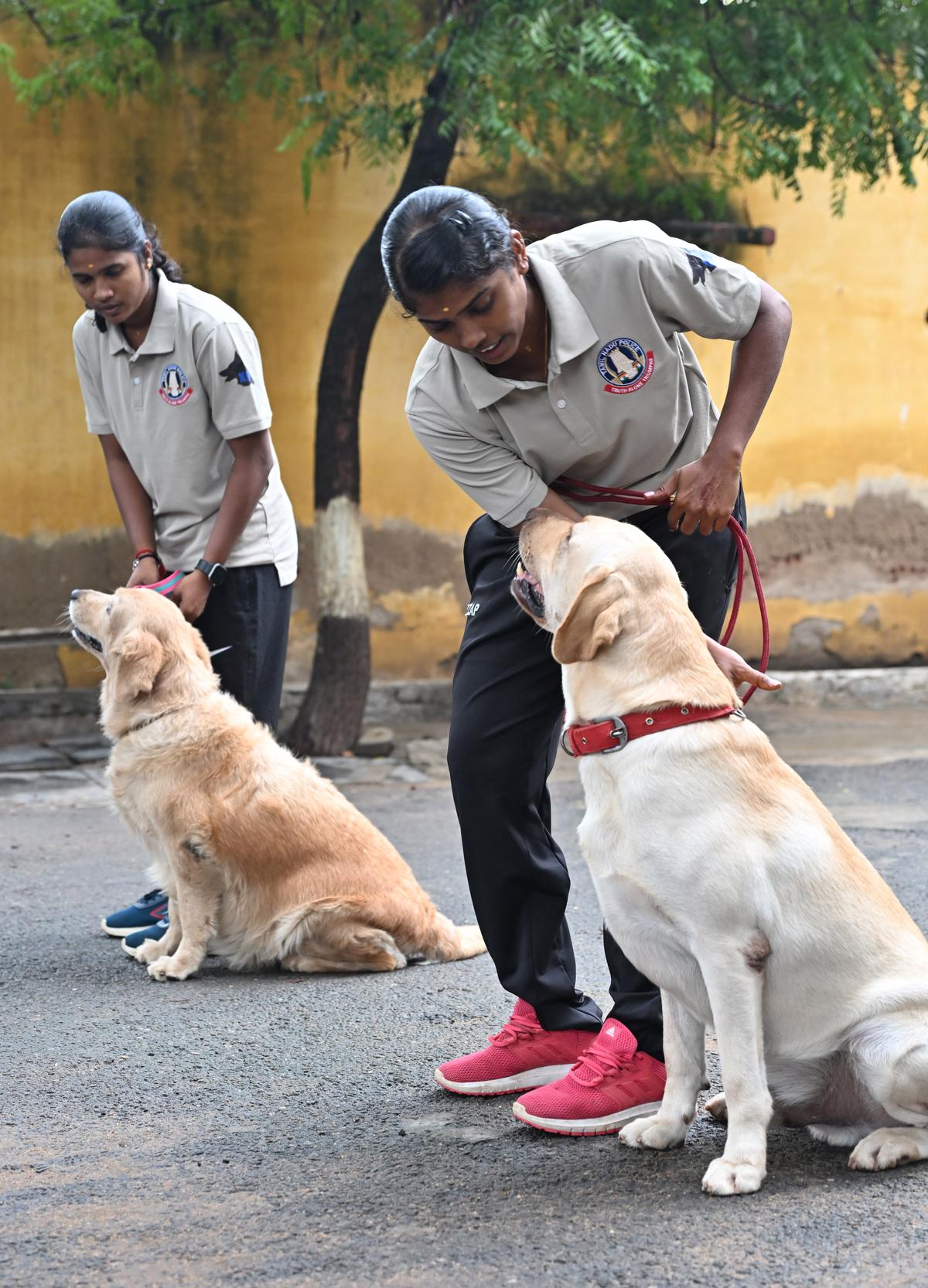 FOR COIMBATORE, 15/10/2024:
 (for Metroplus story):
For the first time in Tamil Nadu, two women constables, P Bhavani and S Kavipriya, have been appointed as sniffer dog handlers by Coimbatore City Police.
PHOTO: Siva Saravanan S / The Hindu.