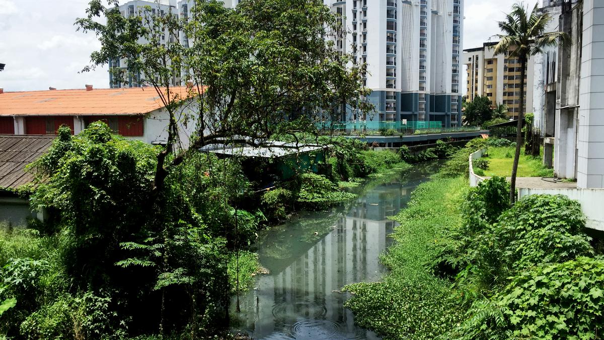 Explore alternative technologies to rejuvenate polluted canals: NGT tells Kerala government