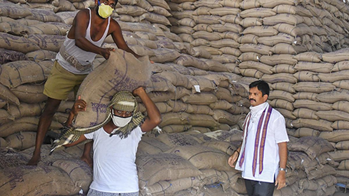 Centre confident of fortified rice stocks, benefits outweigh harms: Food secretary