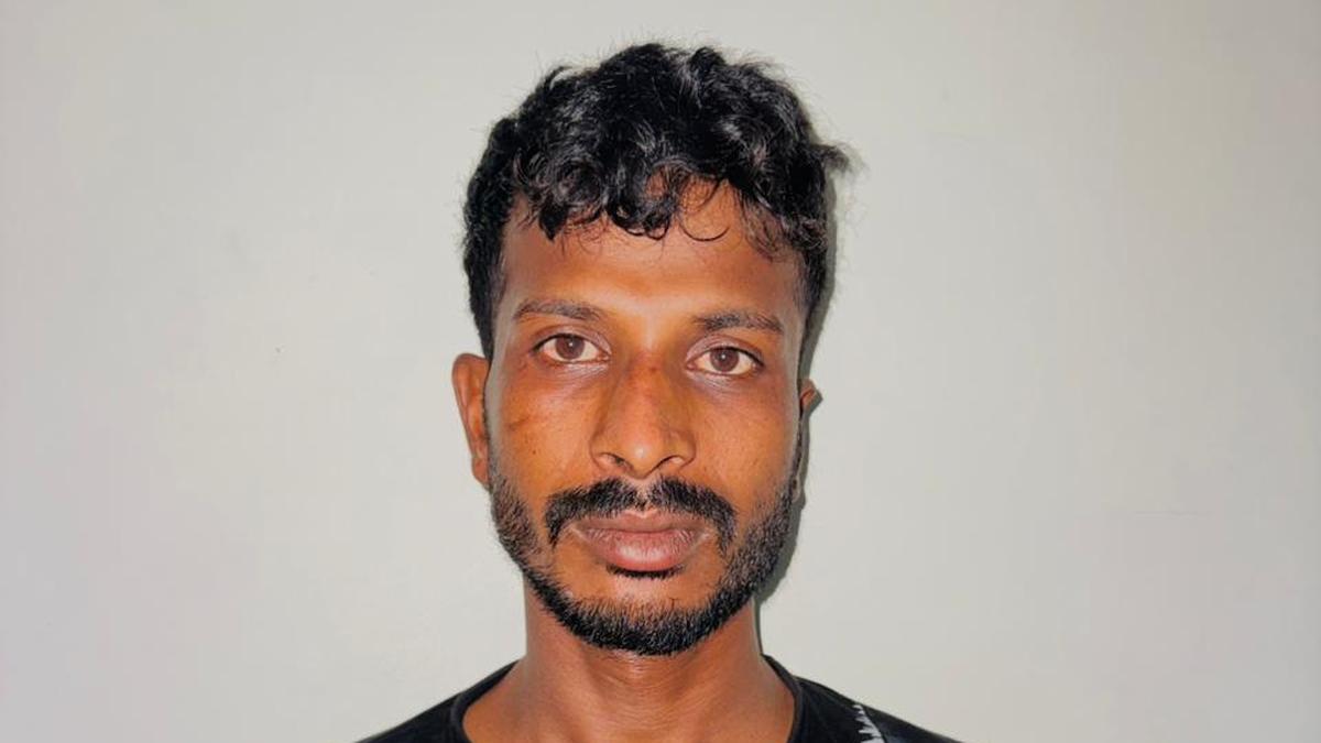 Man arrested in Alkapur Township molestation case