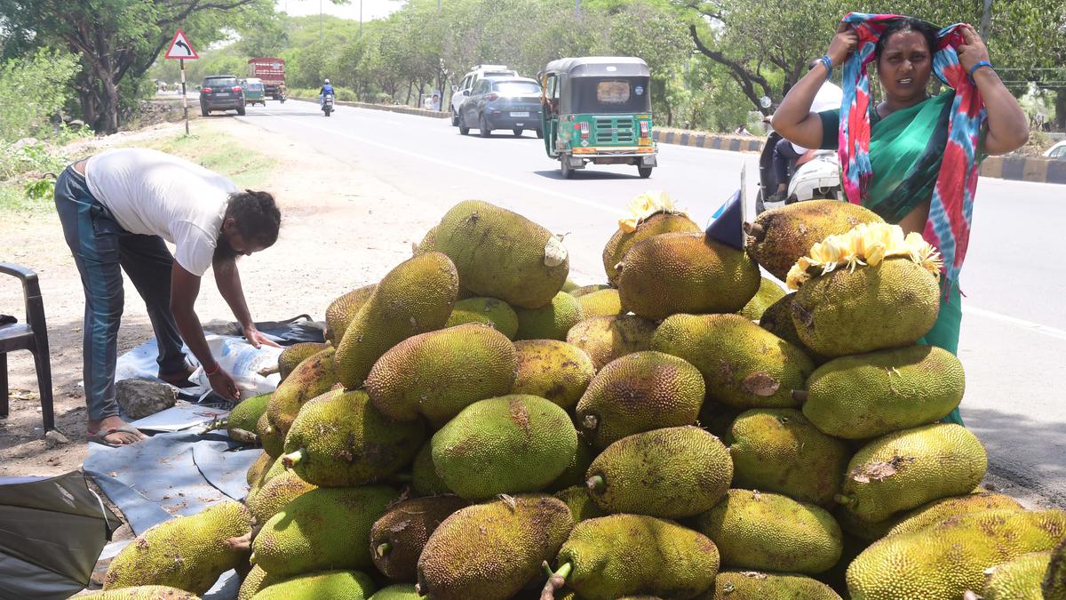 Misery peaks as torrid weather continues in Andhra Pradesh