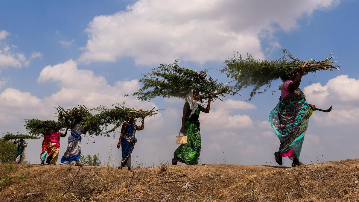 MGNREGA job cards generated in the names of deceased villagers in Uttar Pradesh's Sambhal; probe ordered