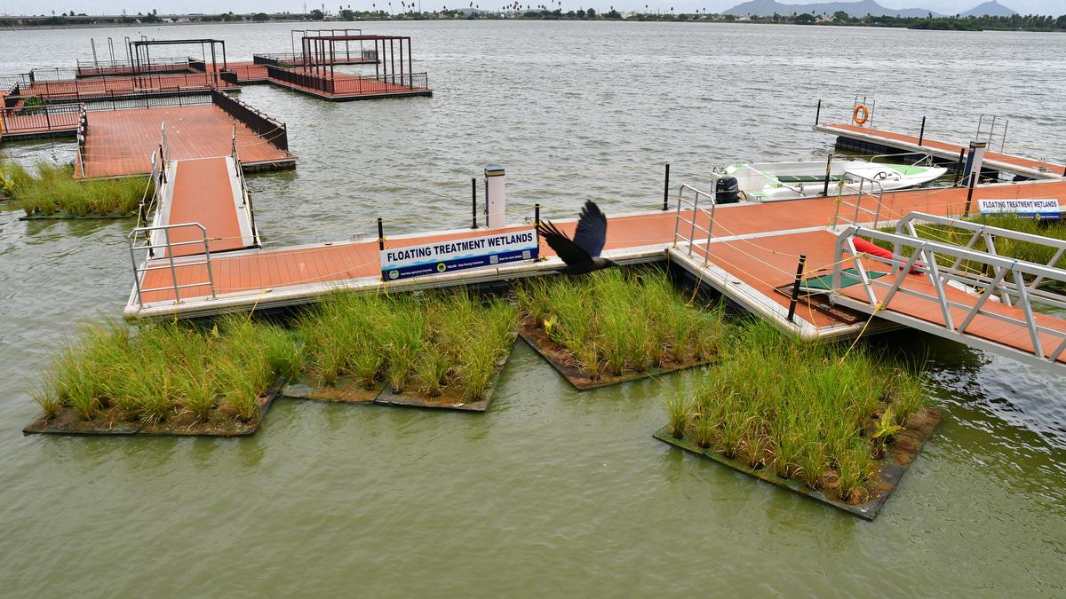 Floating vetiver islands in Coimbatore lakes to purify water