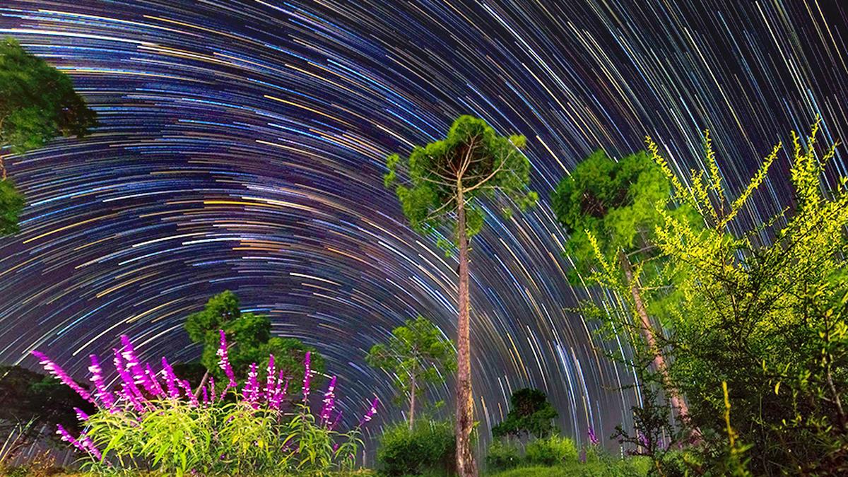 Photography contest to capture the magic of dark sky