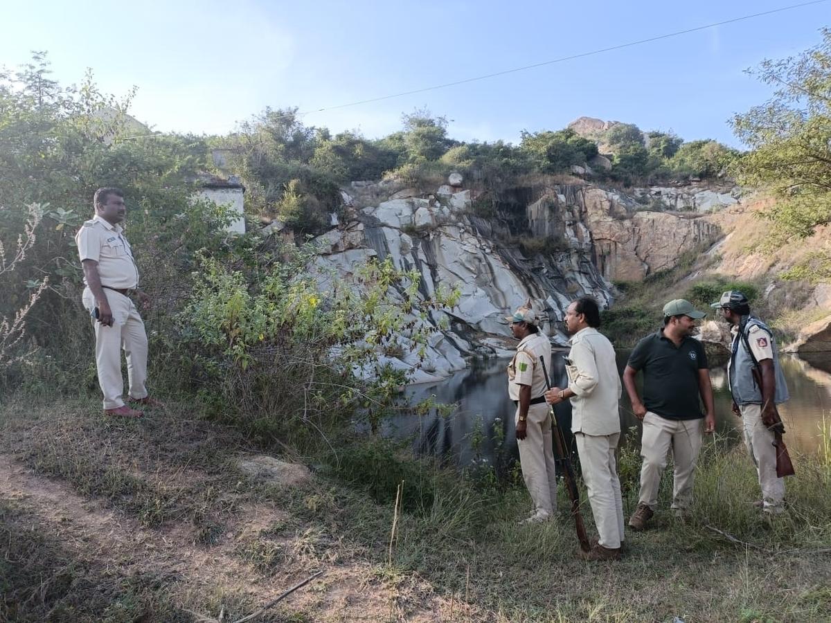 Leopard camera trapped raising hopes of its early capture in T.Narsipur