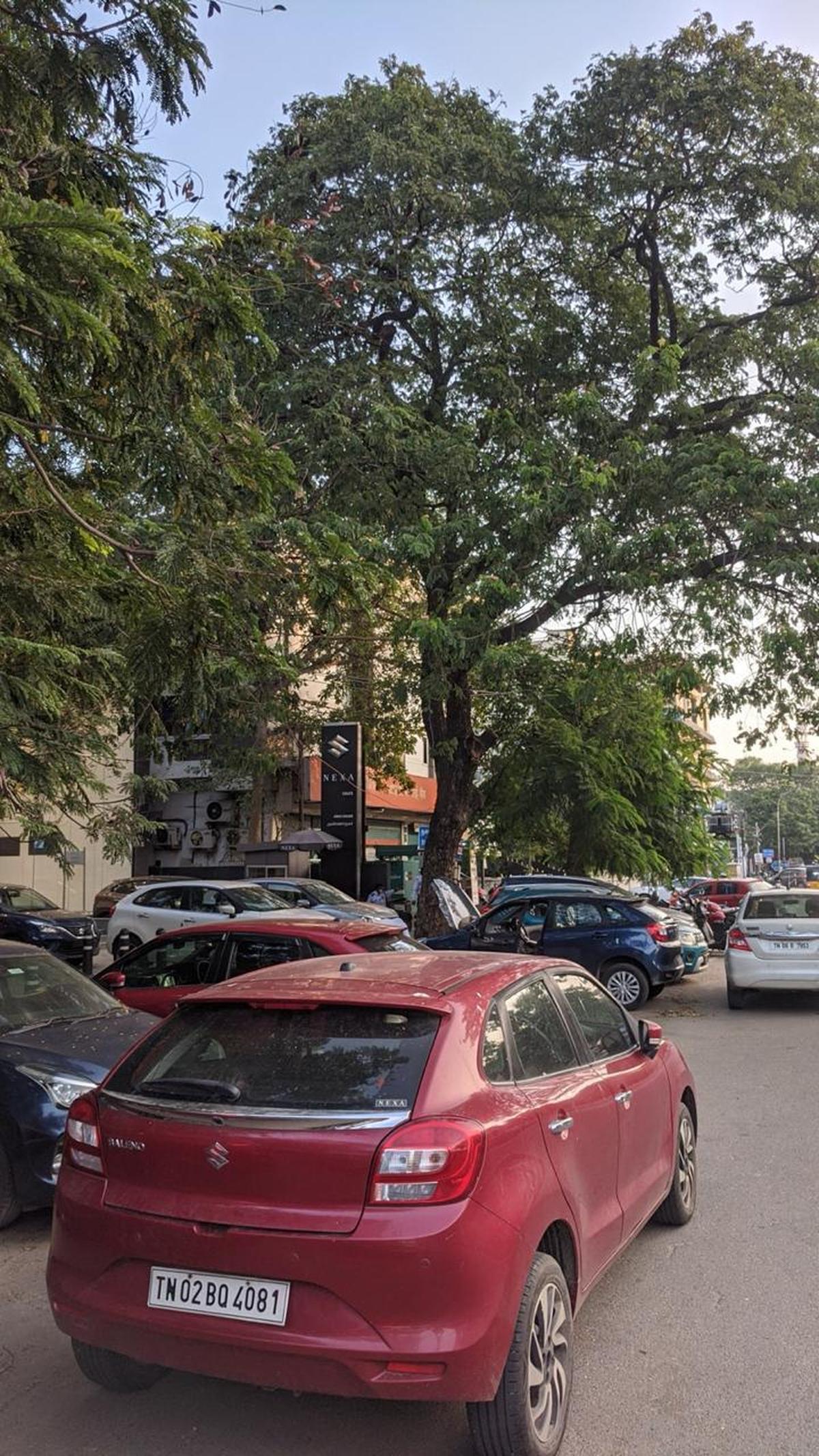 Anna Nagar voters bring up unfinished business