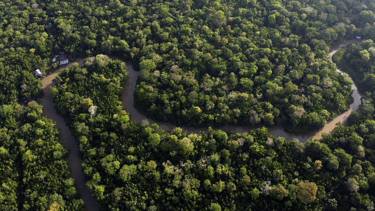Amazon nations seek common voice on climate change, urge developed world to help protect rainforest