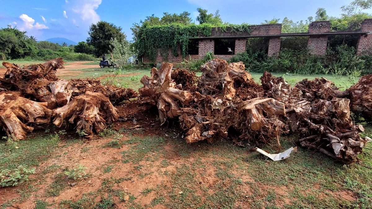 These Bengalureans are giving discarded wood a new lease of life