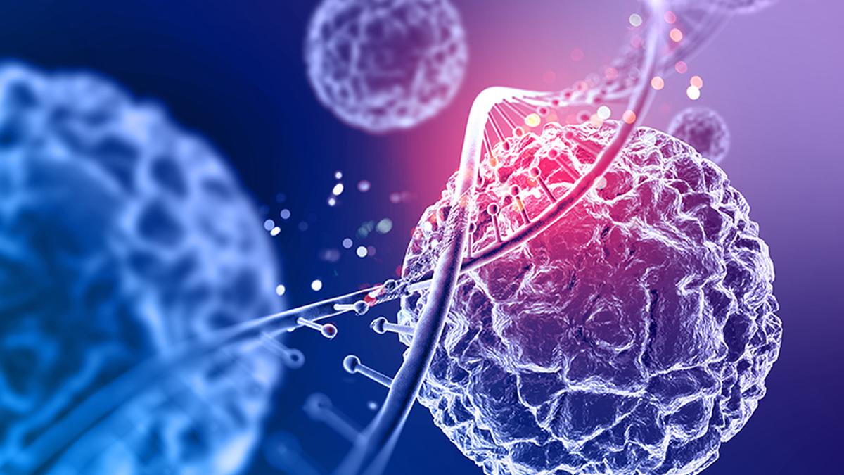 CAR-T 요법은 병원에서 안전하게 제조 될 수 있으며 CMC Vellore가 이끄는 ICMR이 자금을 지원하는 프로세스를 발견합니다.