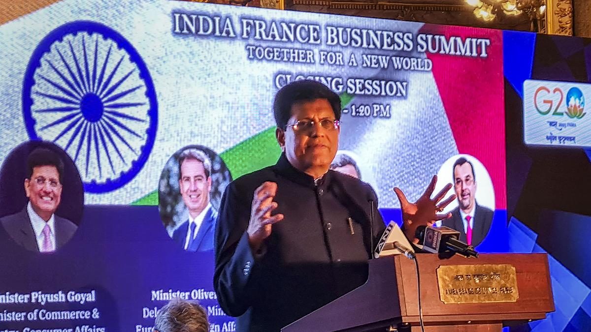 India is not seeking permanent immigration visas from any country in FTAs: Goyal