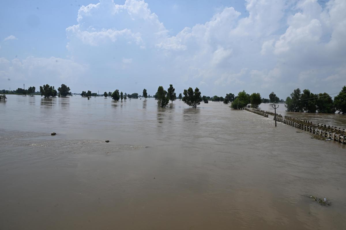 Flood at Kanwan Wali Village, in Fazilka, in Punjab. 