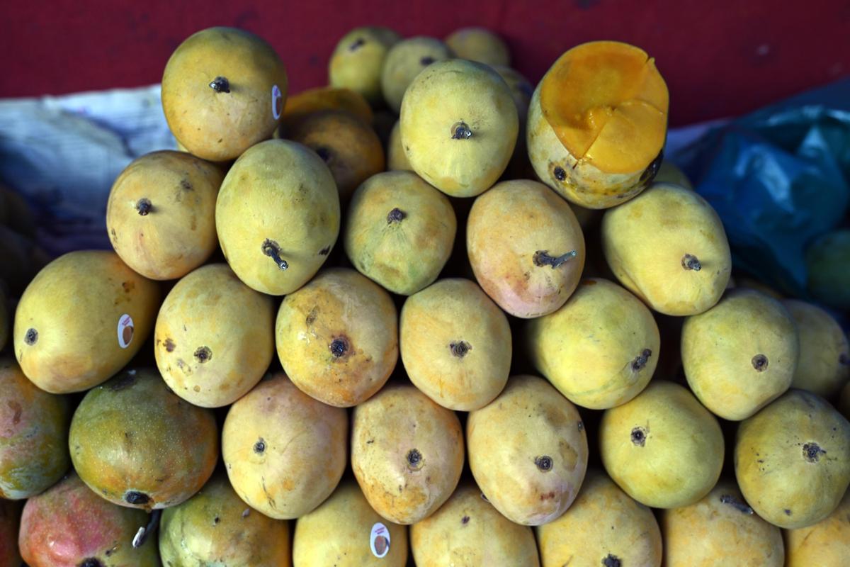 Badami mangoes