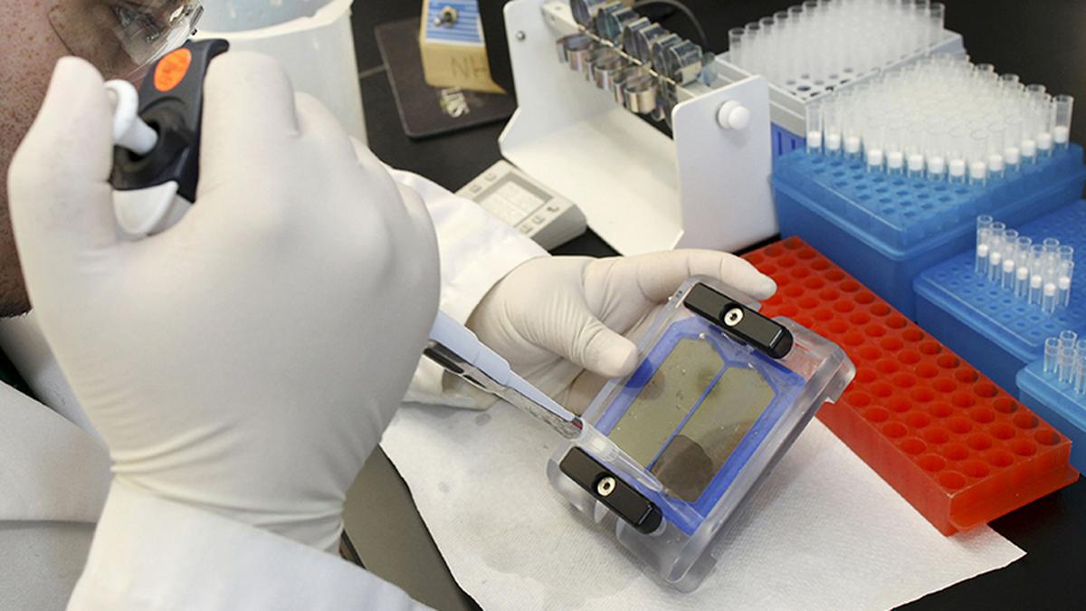 When a DNA analysis reveals a closely guarded family secret…
Premium