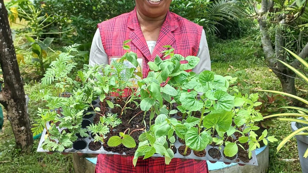 State Seed Farm in Kochi gears up fro Onam with an assorted seedlings tray and a dance
