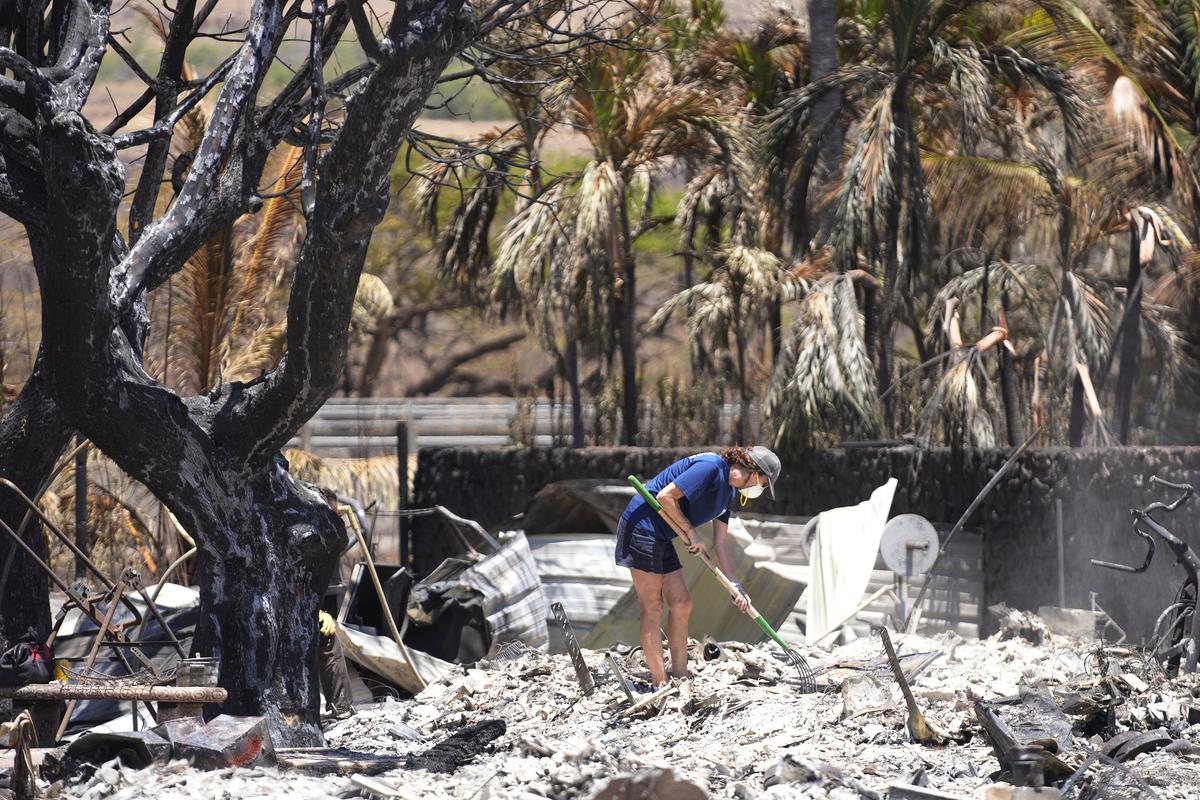 Hawaii wildfires stoke climate change denial, conspiracy theories The