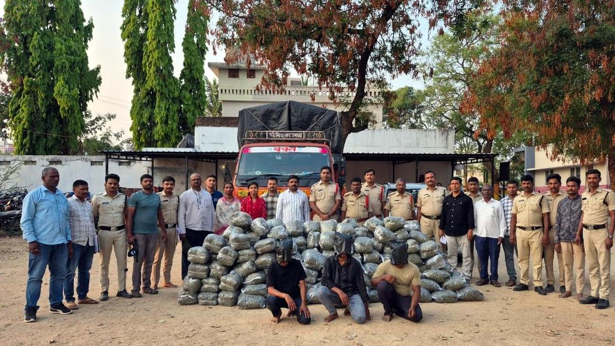 Three smugglers arrested with 574 kg ganja worth ₹2.87 crore in Sangareddy
