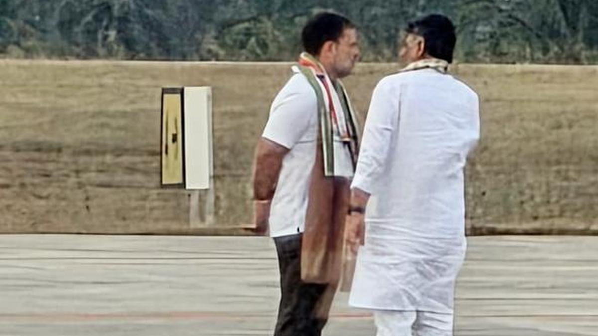 Rahul only told us to continue good work: DKS