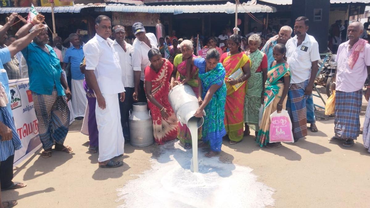Kayathar milk producers pour milk on road, demand hike in procurement price