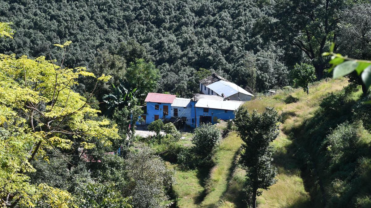 The murder that shook a mountain 